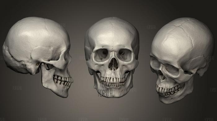 Skull Asian